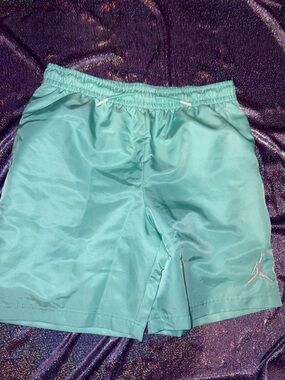 Jordan Mint Green Swim Trunks
